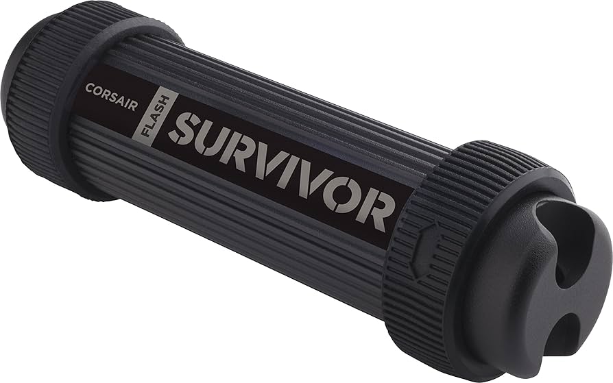 Amazon.com: Corsair CMFSS3B-256GB Flash Survivor Stealth